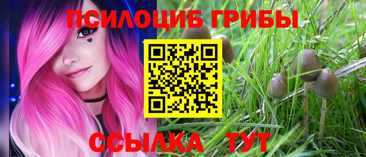 Кириши  Галлюциногенные грибы Psilocybine cubensis  Вход с VPN 