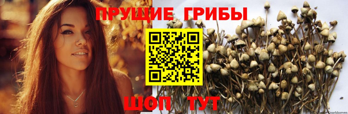 Кокаин Кириши